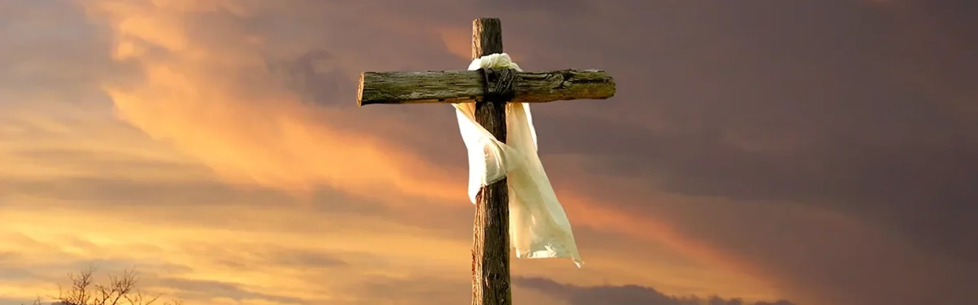 Who is Jesus – Cover Who is Jesus - Cover